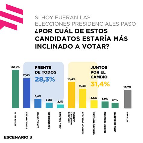 Encuesta Candidatos Presidenciales Argentina Ana Harper