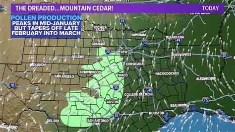 Texas Allergy Forecast Why Dfw Pollen Count Ragweed Are So Bad