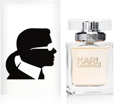 Amazon Lagerfeld By Karl Lagerfeld Cologne Eau De Toilette Spray