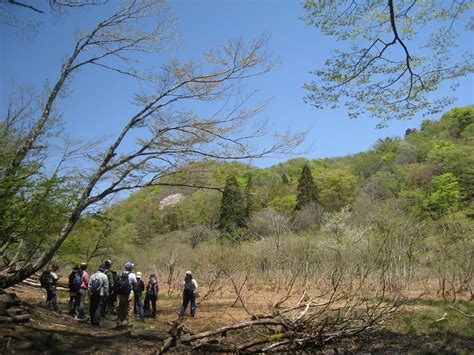 美山の里・河鹿荘に連泊！新緑の芦生の森・ 上谷ハイキング3日間｜アルパインツアー・海外国内のハイキング、トレッキング、登山ツアー