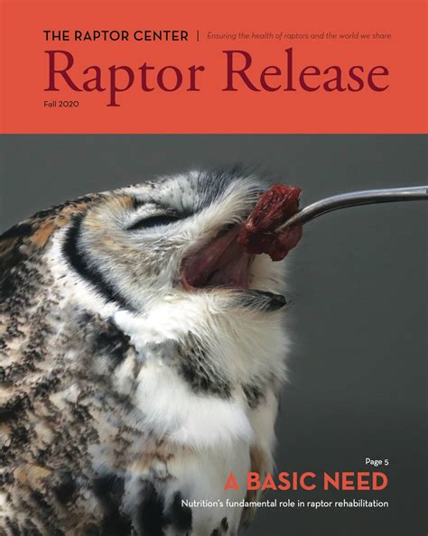 Past Issues | The Raptor Center