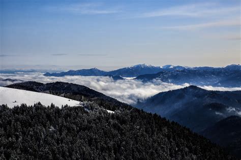 Borjomi-Kharagauli National Park, Georgia (with Map & Photos)