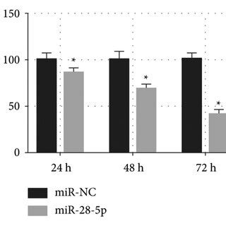 Overexpression Of MiR 28 5p Inhibits Proliferation Of Gastric Cancer