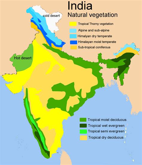 Natural Vegetation And Wildlife Of India Geographic Book