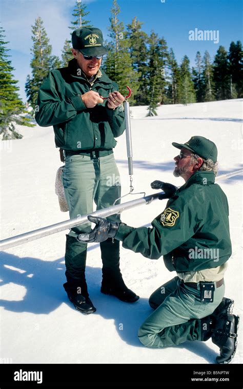 Us Forest Service Performing Snow Survey Stock Photo Alamy