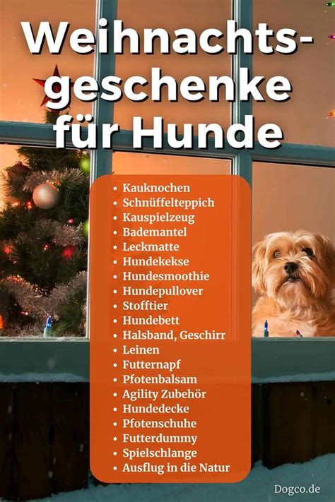 Weihnachtsgeschenke für Hunde Schöne Ideen zum Fest 2025