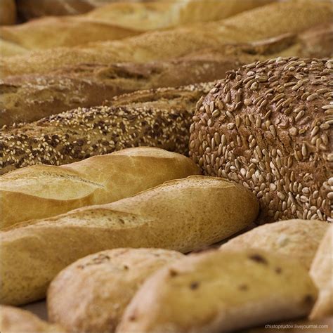Процесс производства хлеба. | Favorite recipes, Bread, Recipes