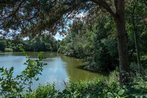 Ryton Pools Country Park Day Ticket Lakes