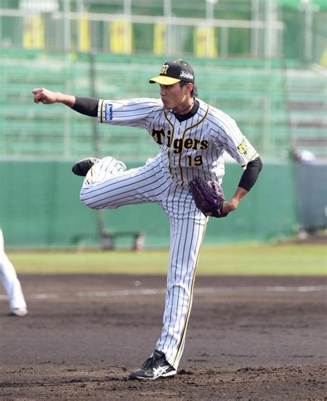 阪神・秋山、藤浪は2回無失点 高卒2年目の井上が先制打 ドラ1佐藤輝は初安打阪神タイガースデイリースポーツ Online