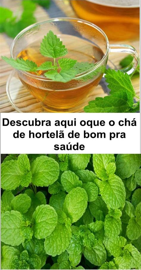 Chá de Hortelã Para que serve e como prepará lo Herbs Healthy