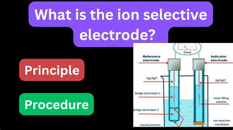 Ion Selective Electrode Principle Procedure Ese Types Diagram