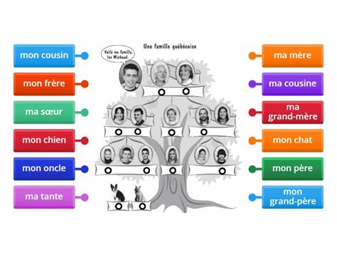 La Famille De Vincent Labelled Diagram