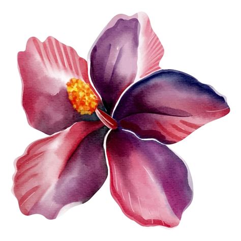 Premium Vector Watercolor Tropical Flower Floral Illustration Exotic