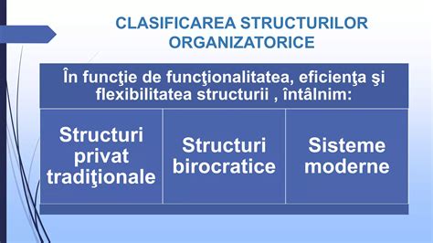 Tipuri De Structuri Organizatorice PPT