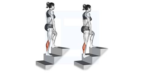 Standing Calf Raise Guide Benefits And Form