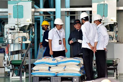 Presiden Minta Bulog Serap Gabah Petani Sebanyaknya