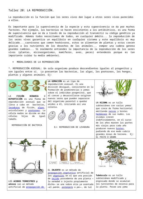 DOCX taller 20 a 27 reproducción en animales DOKUMEN TIPS