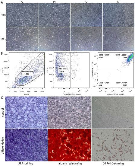 Polymers Special Issue Multi Functional Collagen Based Biomaterials