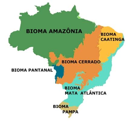 Atividades Sobre Biomas Brasileiros 4 Ano Com Gabarito - Atividade sobre os Biomas Brasileiros - 4º e 5º ano - Com gabarito