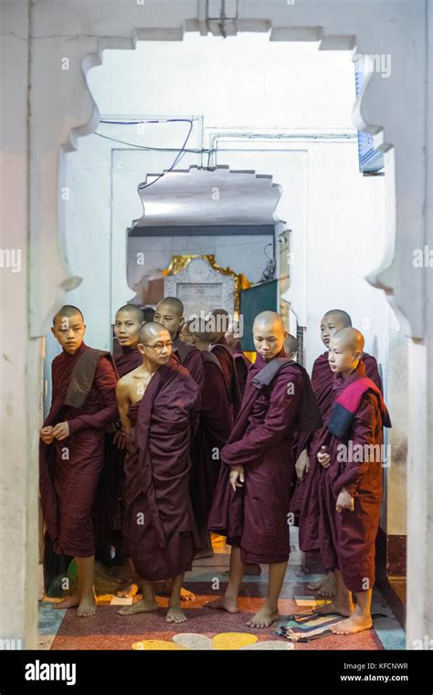 Myanmar Formerly Burma Yangon Rangoon Group Of Monks At Shwedagon Pagoda Buddhist Holy