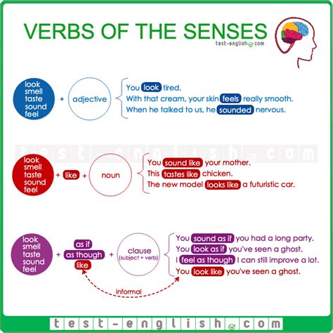 Verbs Of The Senses Test English