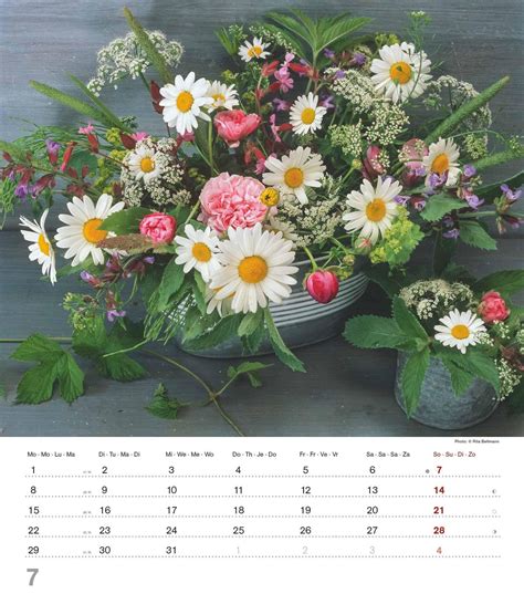 Blumentr Ume Foto Kalender Wand Kalender X Blumen