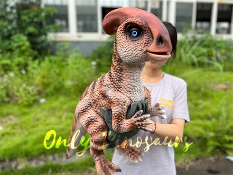 Lifelike False Arm Dinosaur Puppet For Sale Only Dinosaurs