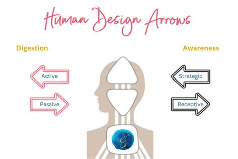 The Human Design Arrows Are Shown In This Graphic