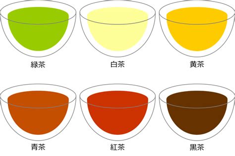 お茶の種類における紅茶とは？【紅茶情報tea Magazine】