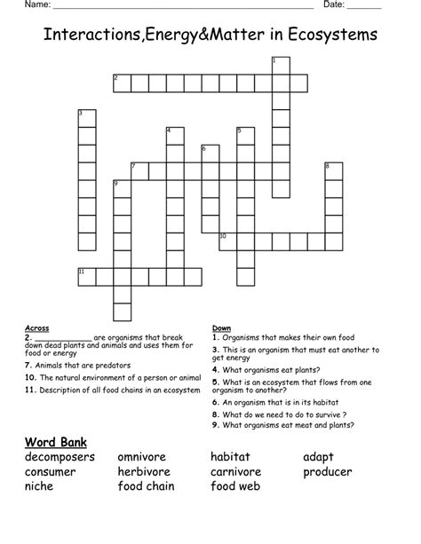 Interactions Energy Matter In Ecosystems Crossword WordMint