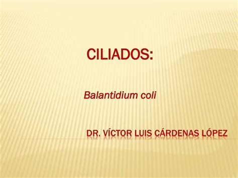 Balantidium Coli Shadow Udocz