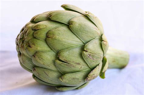 Artichoke Definition Of Artichoke