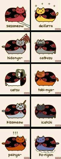 NYAN AKATSUKI Naruamino Amino