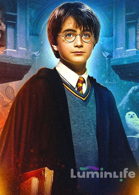 Kit Broderie Diamant Diamond Painting Harry Potter W