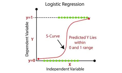 Top 10 Machine Learning Algorithms In 2024 Synergisticit