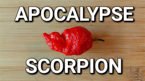 Apocalypse Scorpion Hotter Than A Carolina Reaper Hotter Than