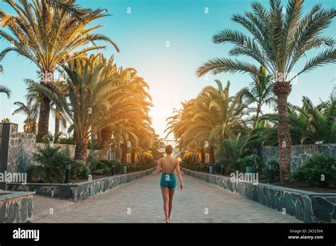 Tourist Walking Through Gran Canaria Palm Walks In Canary Islands