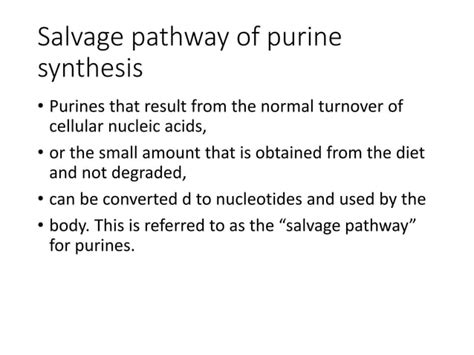 purines Metabolism.pptx