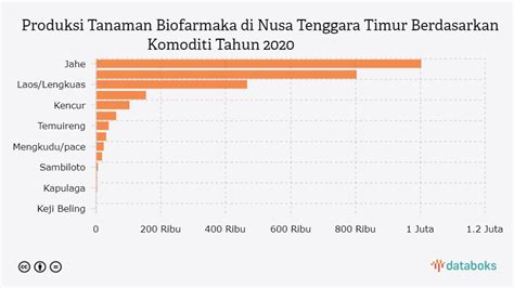 Jahe Komoditi Tanaman Biofarmaka Terbesar Di Ntt Pada 2020