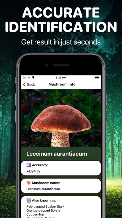 Mushroom Identifier App Fungi By Uladzislau Yanushka