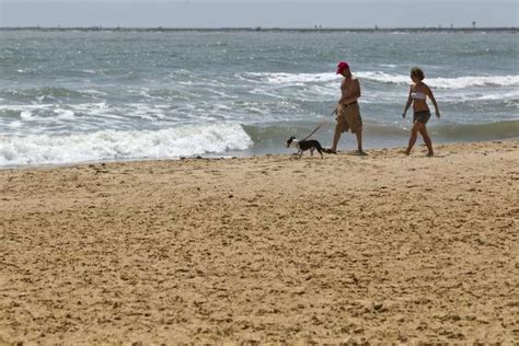 National Report Identifies Texas Beaches With Polluted Water Samples