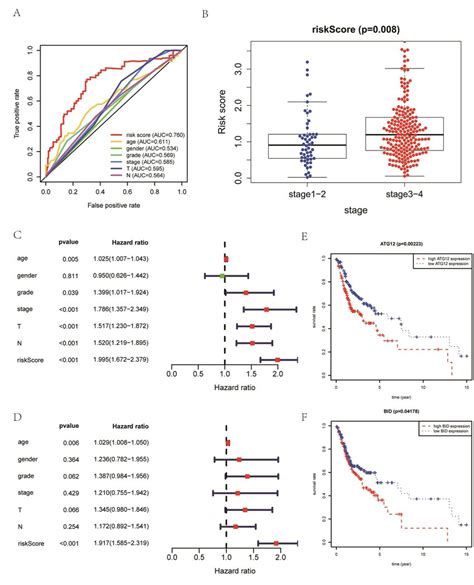 Aunivariate Cox Regression Based On Differentially Expressed Autophagy