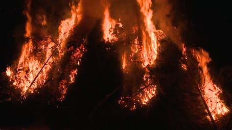 City Of Ammon Holding Bonfire To Dispose Of Live Christmas Trees