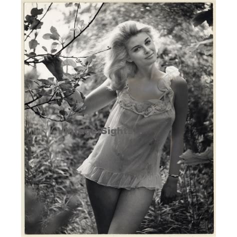 Lacivious Semi Nude Pin Up Girl Outdoors 3 Vintage Photo Korenjak 1960s