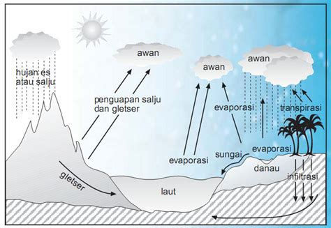 SIKLUS HUJAN | my biologi smart