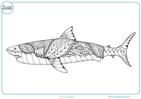 Dibujos De Tiburones Para Colorear F Ciles De Imprimir