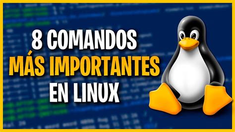 Los Comandos Esenciales De Linux Que Debes Conocer Youtube