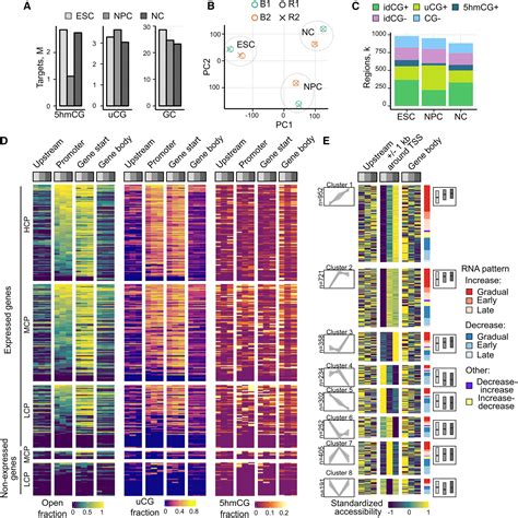 One Pot Trimodal Mapping Of Unmethylated Hydroxymethylated And Open