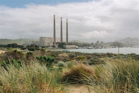 Sand Dunes Native Plants And Power Plants On Morro Bay California