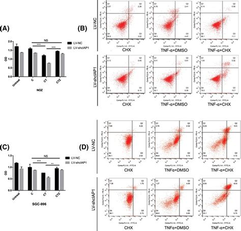 cIAP1 enhances TNF α cycloheximide induced apoptosis in GBC A C CCK 8